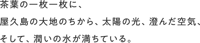 茶葉の一枚一枚に、屋久島の大地のちから、太陽の光、澄んだ空気、そして、潤いの水が満ちている。